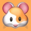 WWW,342se·COM网站APPAPP应用